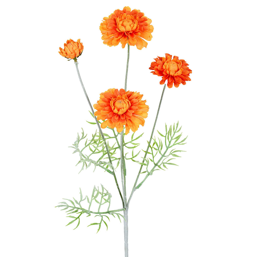 Haste Zínnia X4 Laranja Ref.62974015 Grillo